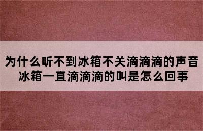 为什么听不到冰箱不关滴滴滴的声音 冰箱一直滴滴滴的叫是怎么回事